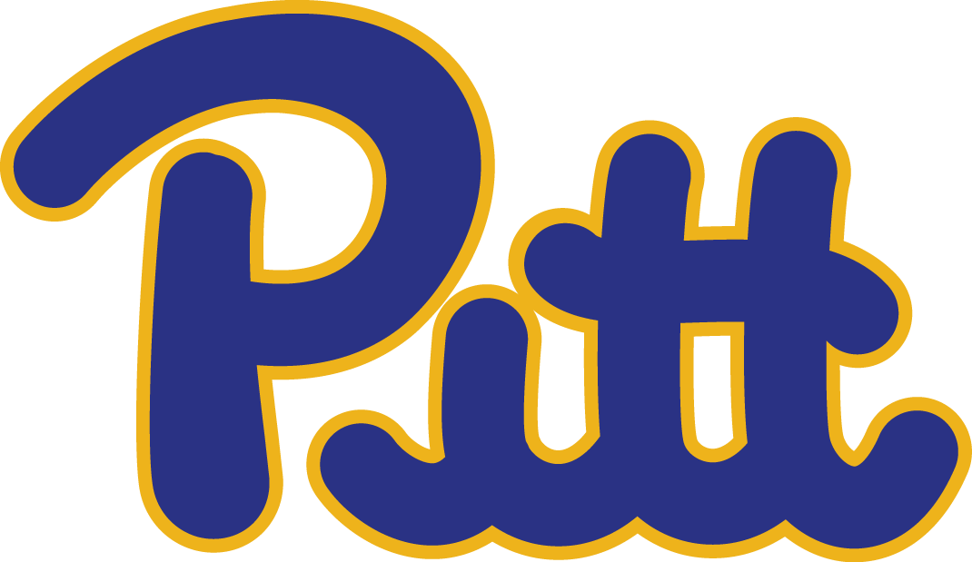 Pittsburgh Panthers 1973-1996 Wordmark Logo iron on paper